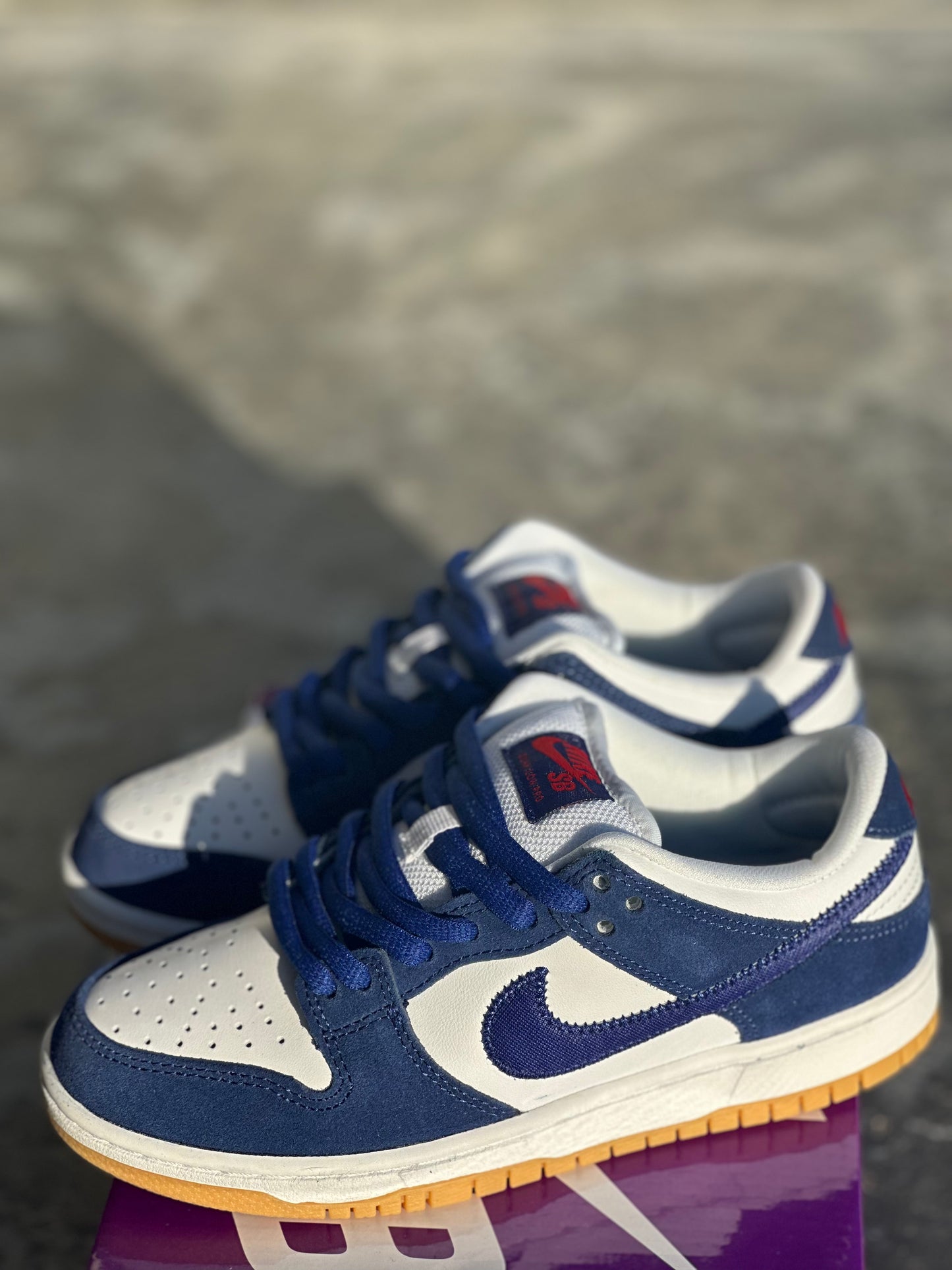 Dunk Low Pro Blue Sneakers